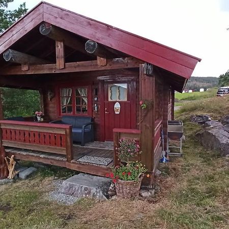 Suigard Smia Villa Sauland Bagian luar foto